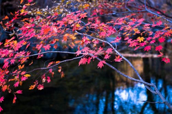 亚洲性爱TV独家节目